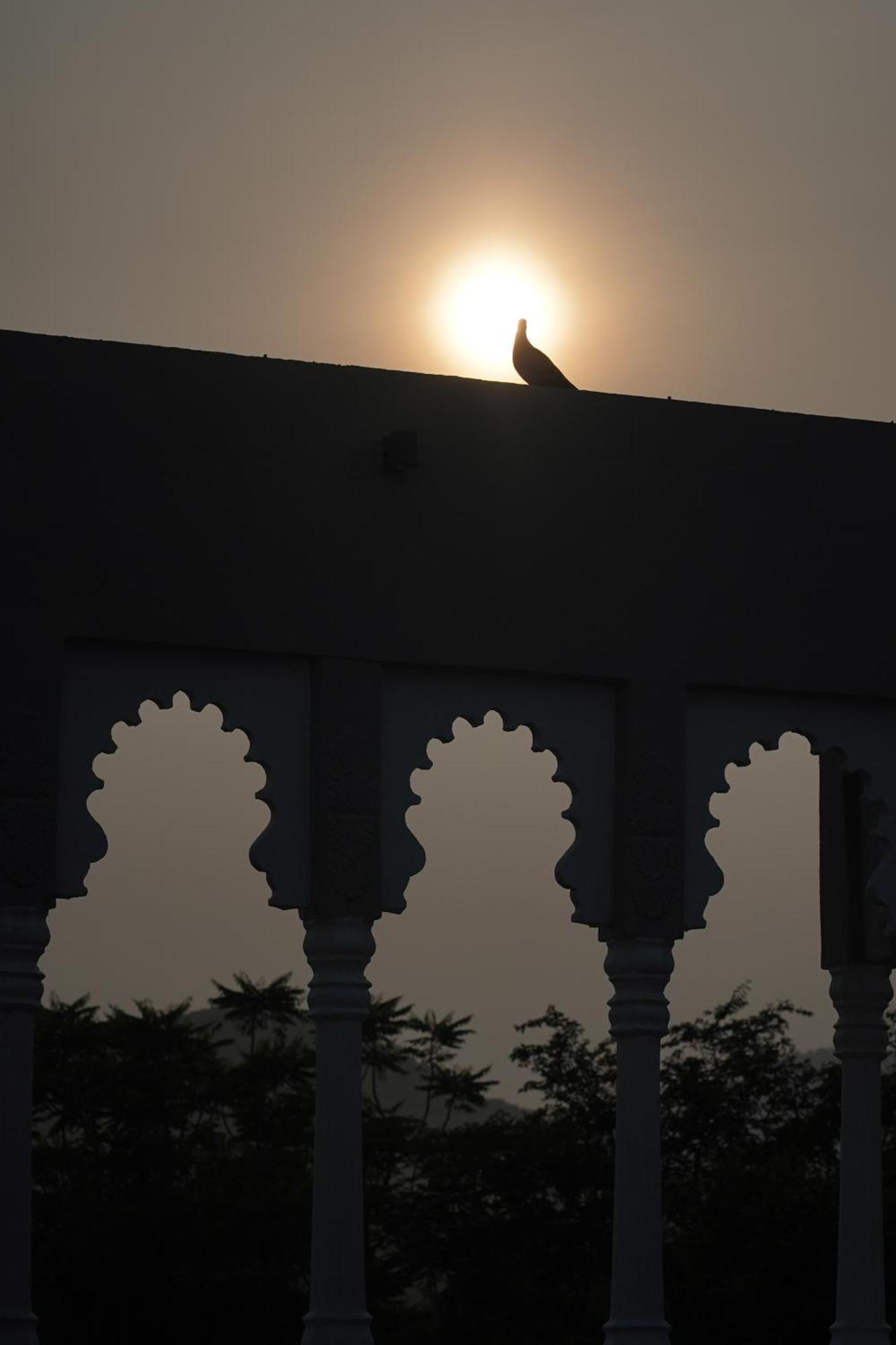 The Tiger Villa Ranthambore Atd India Group ซาวาย มาโดปูร์ ภายนอก รูปภาพ